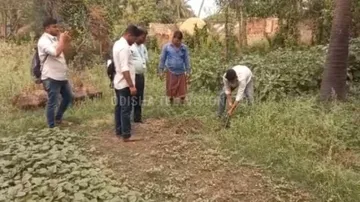 Crude Oil & Natural Gas