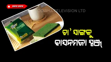 Sponge cake looks so real people confused with dish washer