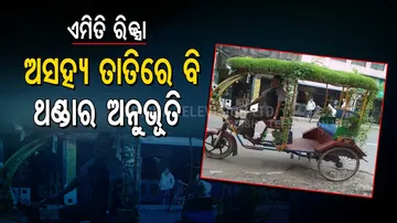 _Man turns his rickshaw into mobile mini rooftop garden