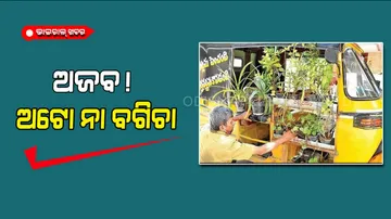 Ever seen a garden in an auto