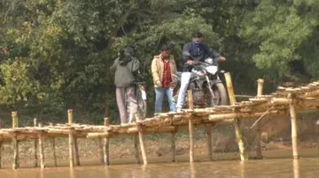 bamboo bridge