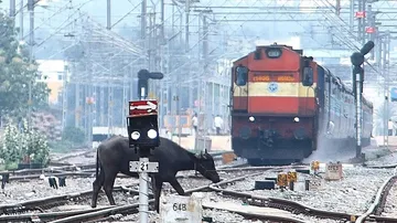 ଲାଇନ୍‌ ପାର ହେବା ବେଳେ ମାଡ଼ିଆସିଲା ଟ୍ରେନ୍ 