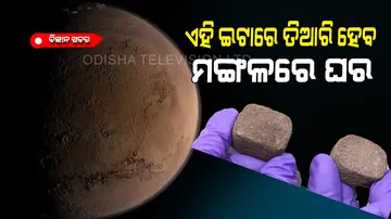 Mars space bricks made to build house