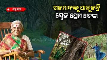 Saalumarada Thimmakka biography known as mother of tree