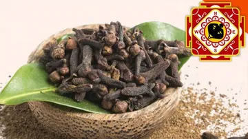 vastu and clove