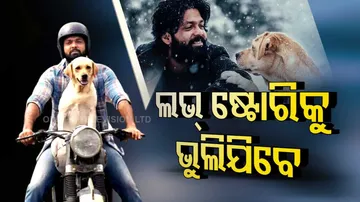 Coming soon 777 Charlie