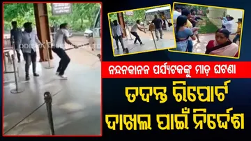 Nandankanan deputy director orders probe into the matter, asks range security officer to submit a re