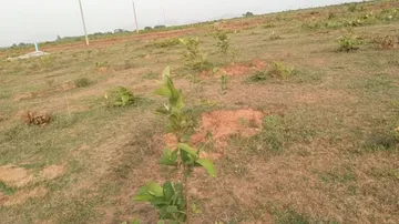 NGT slaps Rs 1 crore fine on Odisha govt 