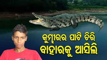 Kendrapara Boy Fights Off Giant Crocodile