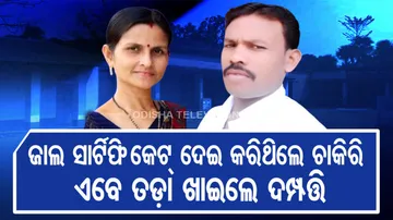 Two government school teachers suspended for submitting fake certificate