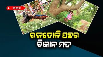 Science behind Raja Doli