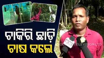 Meet successful farmer in Sundargarh who left his lucrative job for farming