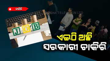 Bumper vacancy has come out DDA