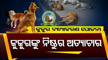 Cruelty to dogs at Odisha veterinary hospital