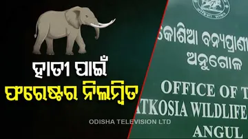 Recovery of elephant carcass in Satkosia, 3 arrested