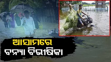 Assam flood situation grim, 29 lakh affected