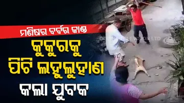 Watch: Barking dog leads to brawl as man hits three people in Delhi’s Paschim Vihar