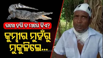Man Survives Crocodile Attack In Kendrapara