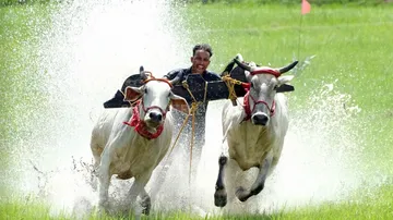 India News in pictures