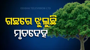 Bodies of three sisters found hanging from tree in Madhya Pradesh
