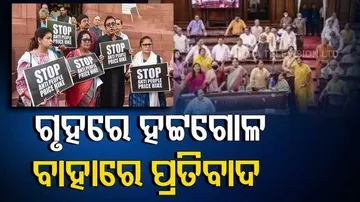 MPs suspended from Lok Sabha over misconduct