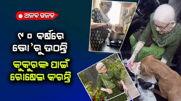 90 year old grandma who cooks food for 120 stray dogs everyday