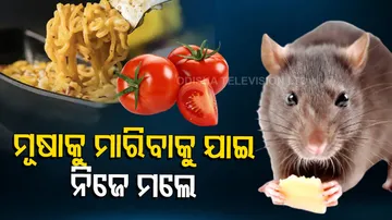 Woman Dies After Eating Instant Noodles With Tomatoes Laced With Rat Poison