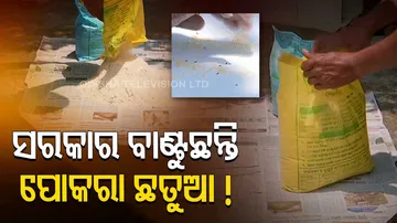 Berhampur : Pest infested Chhatua distributed in Jagadalpur anganwadi centre