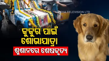 Dog’s funeral procession is like human being