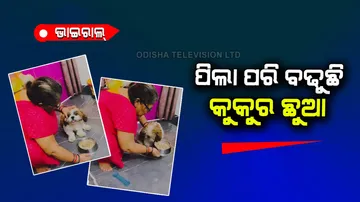 Dog is taking care as own child