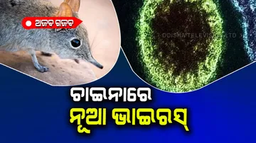 Deadly langya henipavirus spread in china from rats