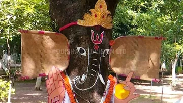 ଭୁବନେଶ୍ୱରରେ ଏକ ଗଛରେ ତିଆରି ହୋଇଛନ୍ତି ଗଣେଶ