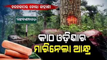 Red sandalwood smuggling