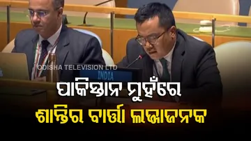 Indian Diplomat Mijito Vinito Slams Pak PM