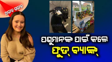 Woman started pet food bank and helps 200 owners