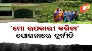 Jojonara Na Hariloot 