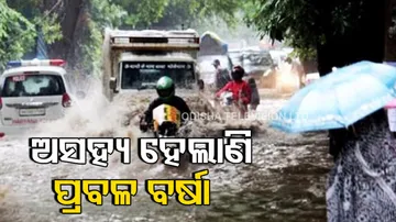 Uttar Pradesh Rainfall