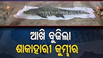 Crocodile of Sri Ananthapadmanabha swamy temple died