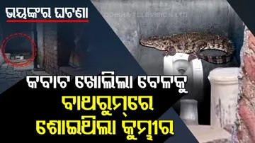 Crocodile rescued from house in Gujarat