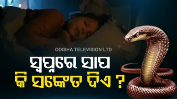 Snake in Dream Meaning Hindu Astrology