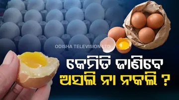 How To Identify Plastic Egg And Original Egg