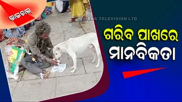 Homeless Man Feed A Thirsty Dog