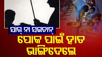 Insects Contain Vitamins