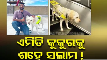 Visually-impaired Man Shares Story Of His Guide Dog 