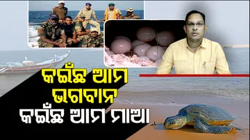 Olive Ridley