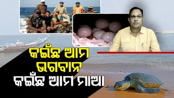 Fishermen in Ganjam awaiting for compensation after fishing banned for Olive Ridley protection
