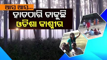 Special Story | Tourists throng Daringbadi as winter falls