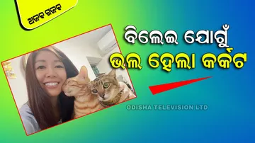 Cats Helped Breast Cancer Survivor