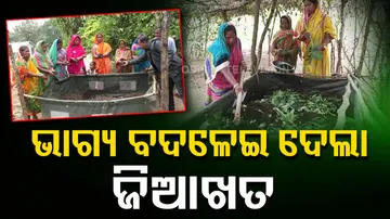 Women of this village in Bhanjanagar add up to family income through organic farming