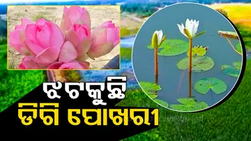 200 Year Old Pond Renovated In Odisha's Bhadrak